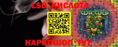 крисы Свободный