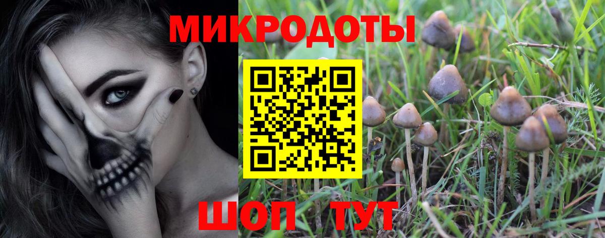 Галлюциногенные грибы мухоморы Прокопьевск