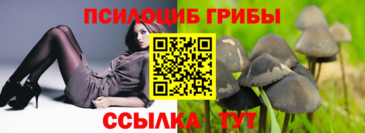 Псилоцибиновые грибы GOLDEN TEACHER  Вход с VPN  Прокопьевск 