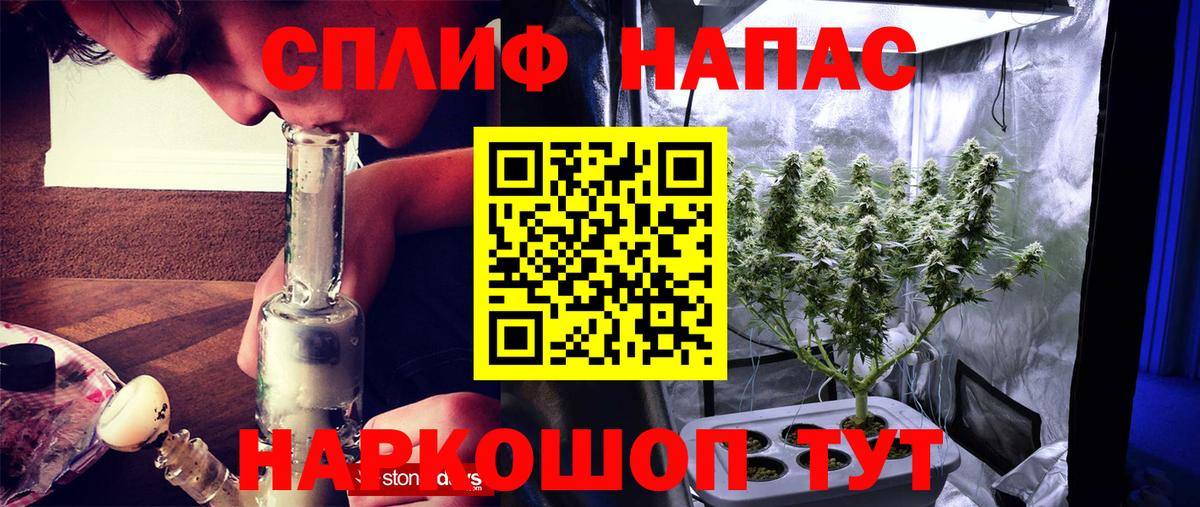 Марихуана семена Прокопьевск